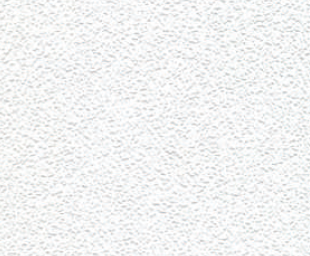 India Gypsum P Ltd